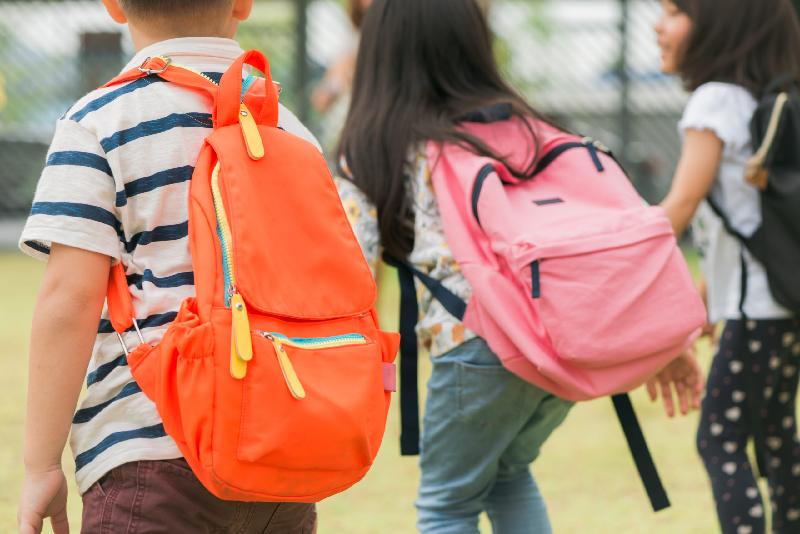 Nabeul: Plus de 170 mille élèves reprennent les bancs de l’école [Déclaration]