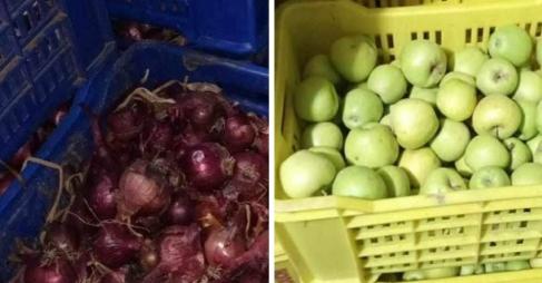 Saisie de 32 tonnes d’oignons et 55 tonnes de pommes à Sousse