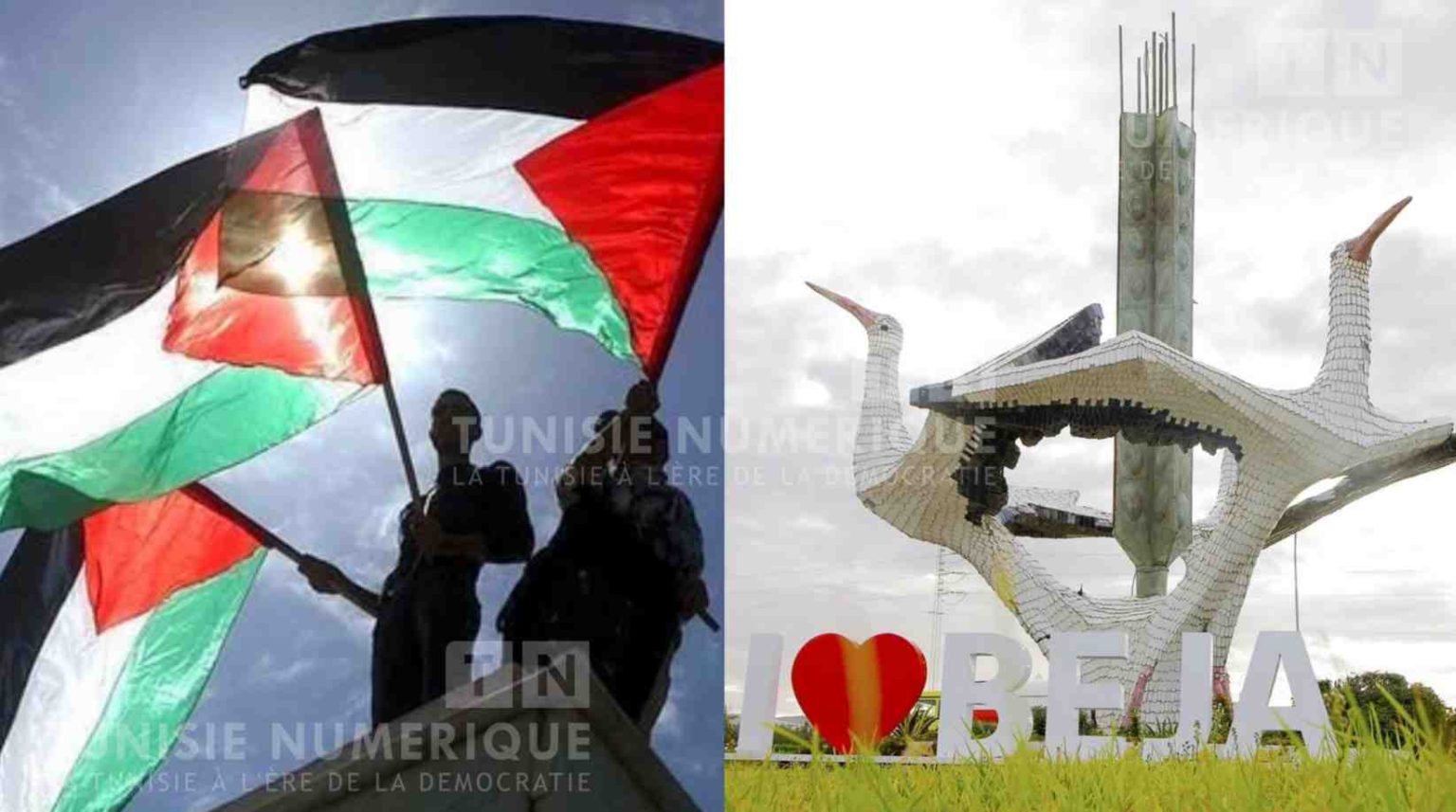 Béja : Une manifestation de solidarité avec le peuple palestinien à cette date