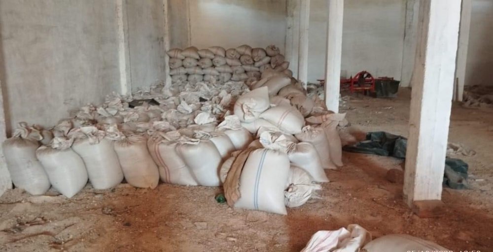 Beja: Découverte de trois entrepôts contenant du blé dur