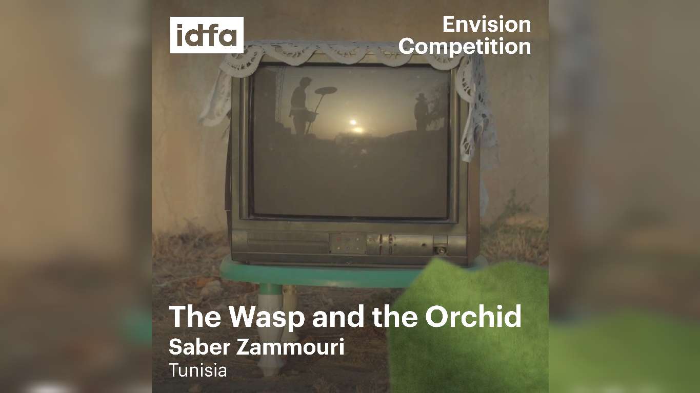 Le film tunisien “La Guêpe et l’Orchidée” de Saber Zammouri sélectionné pour le Festival international du film documentaire d’Amsterdam