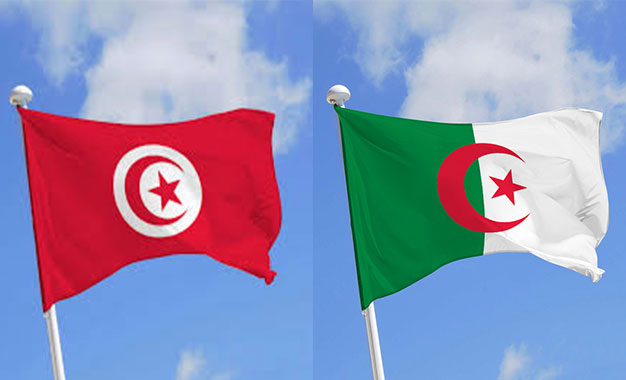 Les Tunisiens et les Algériens tissent un partenariat stratégique dans le secteur de la pêche