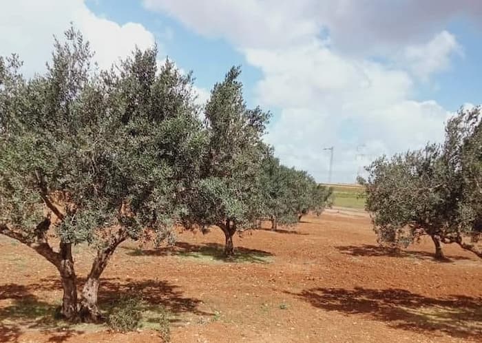 L’Etat récupère 87 hectares de ses biens immobiliers en septembre