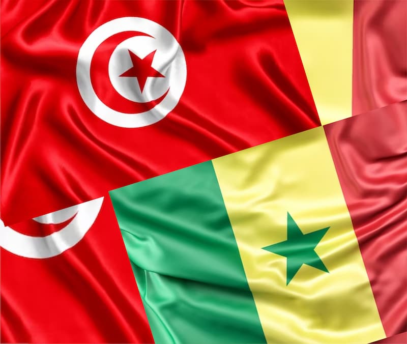 Le Sénégal est le premier partenaire commercial de la Tunisie en Afrique Subsaharienne