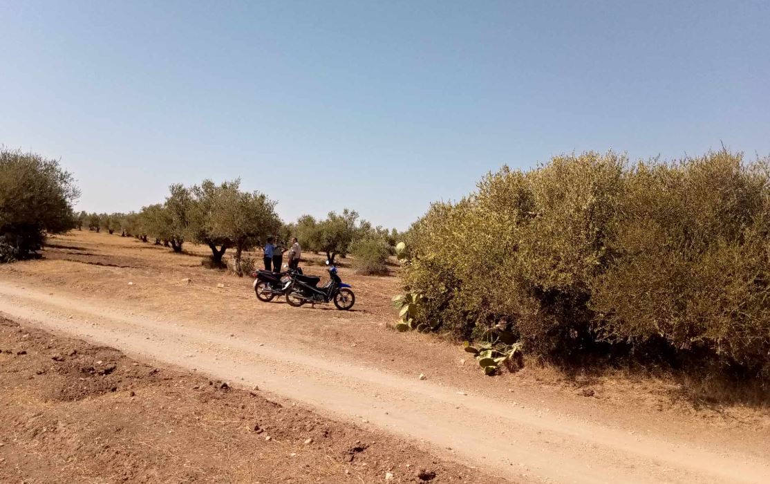 Zaghouan : Récupération de   4 terrains domaniaux agricoles totalisant 86 ha