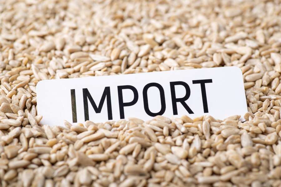 Vers la libéralisation de l’importation de semences et de fourrages en 2024