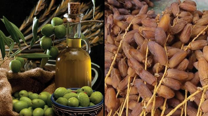 Bilan carbone: Un atelier dédié aux entreprises exportatrices de l’huile d’olive et dattes vers l’UE