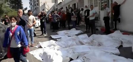 Gaza : Les corps qui n’ont pas été enterrés sont devenus la cible des chiens errants