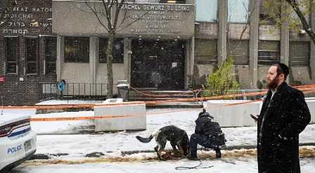 Canada : Deux écoles juives à Montréal ciblées par des coups de feu