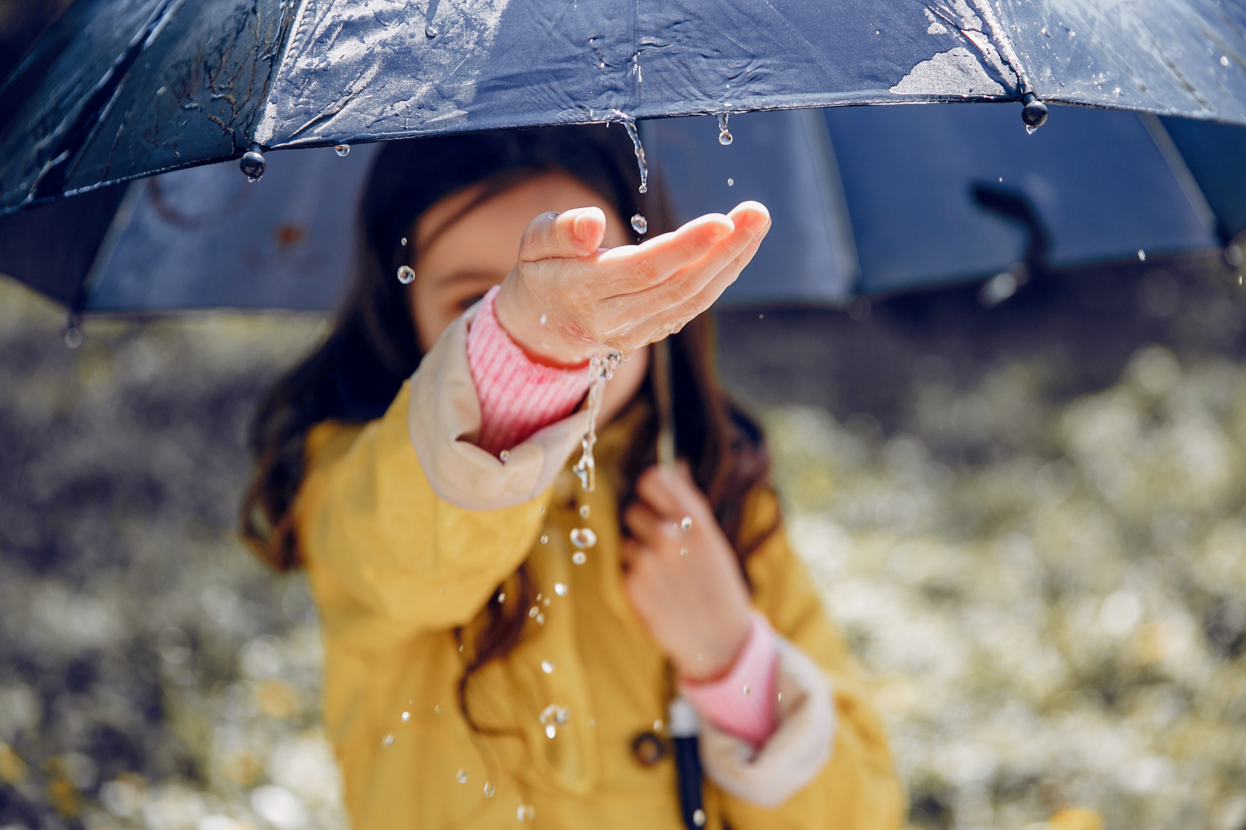 Météo : Un temps hivernal, de la pluie au menu