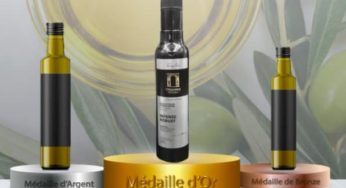 Lancement de la 7ème édition du Prix ONH “Meilleure Huile d’Olive Vierge Extra Tunisienne”