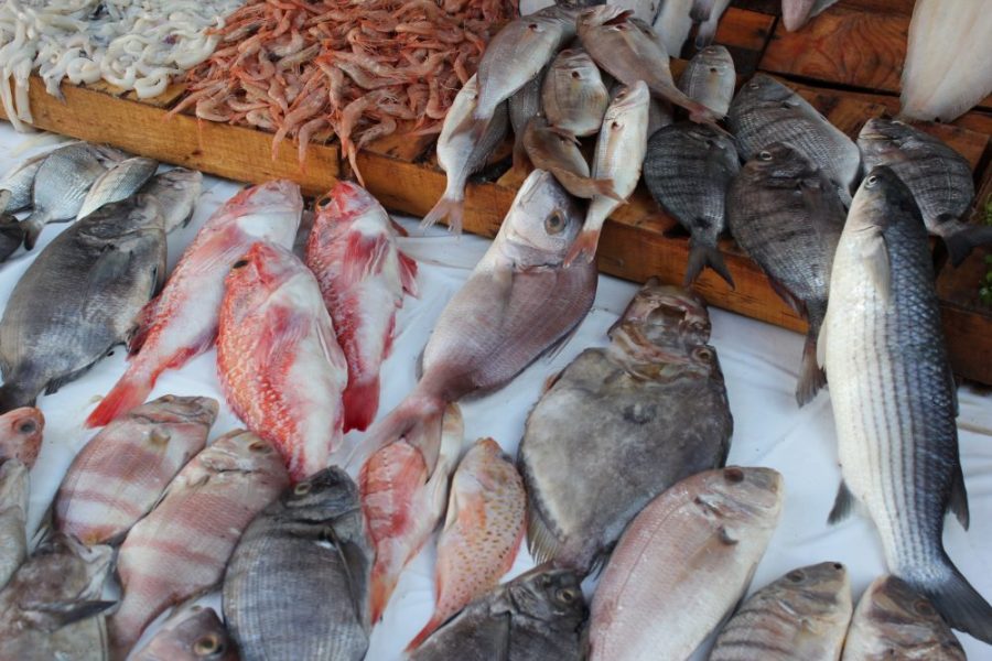 Tunisie-Officiel: Hausse des prix de plusieurs variétés de poissons