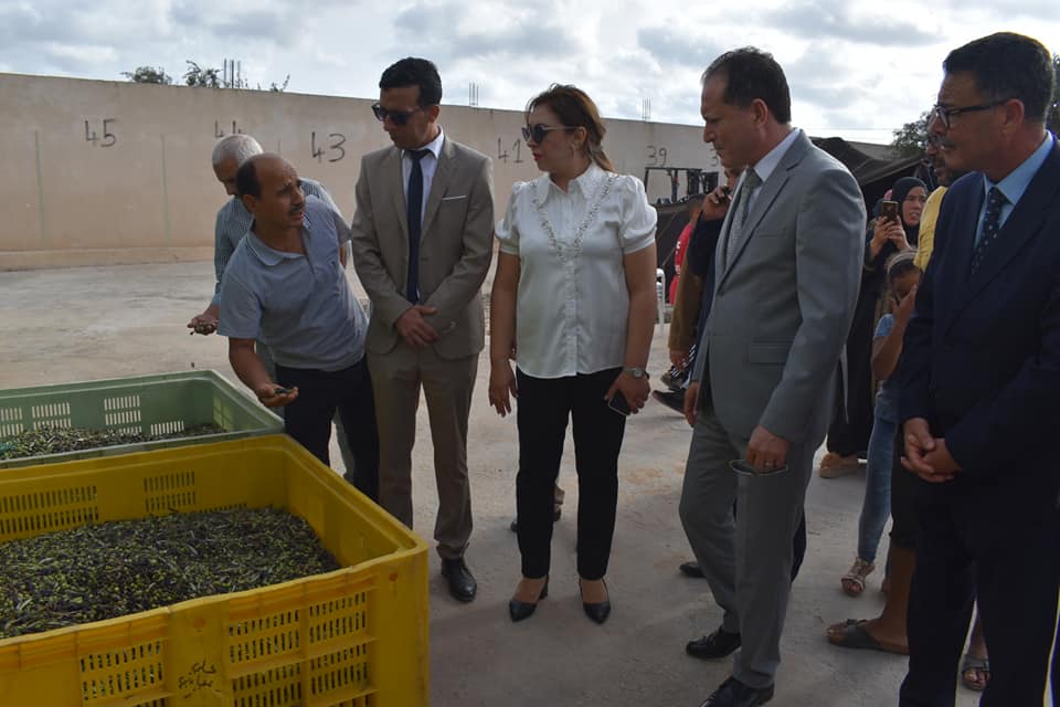 Mahdia : Lancement de la saison de la récolte des olives 2023/2024