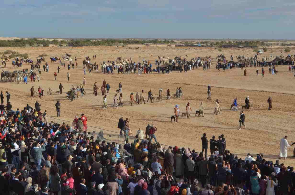 Démarrage du Festival international du Sahara de Douz