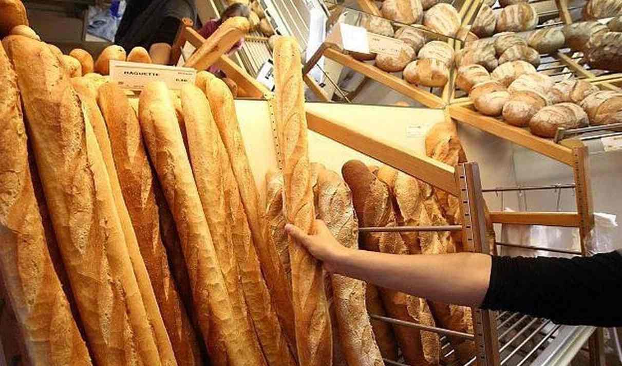 Tunisie – Baisse de 12% des importations de céréales : la pénurie du pain expliquée ?