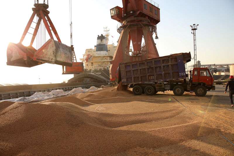 La Tunisie a importé 412 000 tonnes de céréales russes sur la première moitié de la campagne 2023/2024