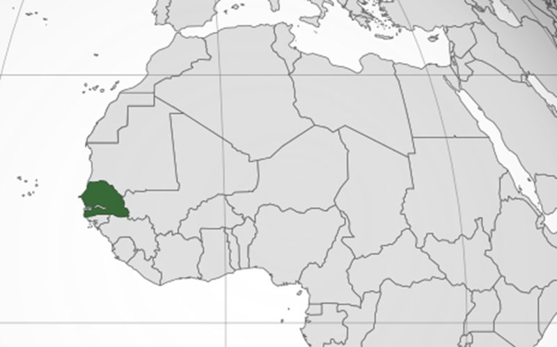 Sénégal : Report indéfini de la présidentielle sur fond de controverse judiciaire