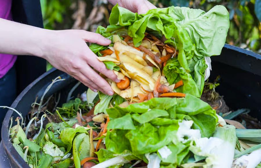 France, environnement : Compostage obligatoire à partir du 1er janvier 2024 