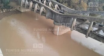 Nette amélioration du débit des eaux de l’Oued Medjerda (Photos)