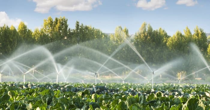 En Tunisie, le secteur agricole accapare 80 % de l’utilisation totale de l’eau