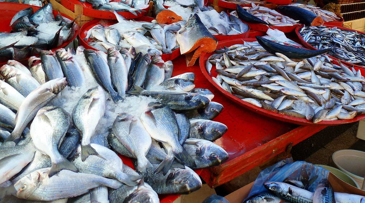 Comment choisir des fruits de mer frais?