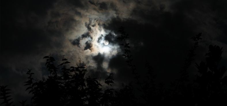 Tunisie – METEO : Quelques nuages brouillard en fin de nuit