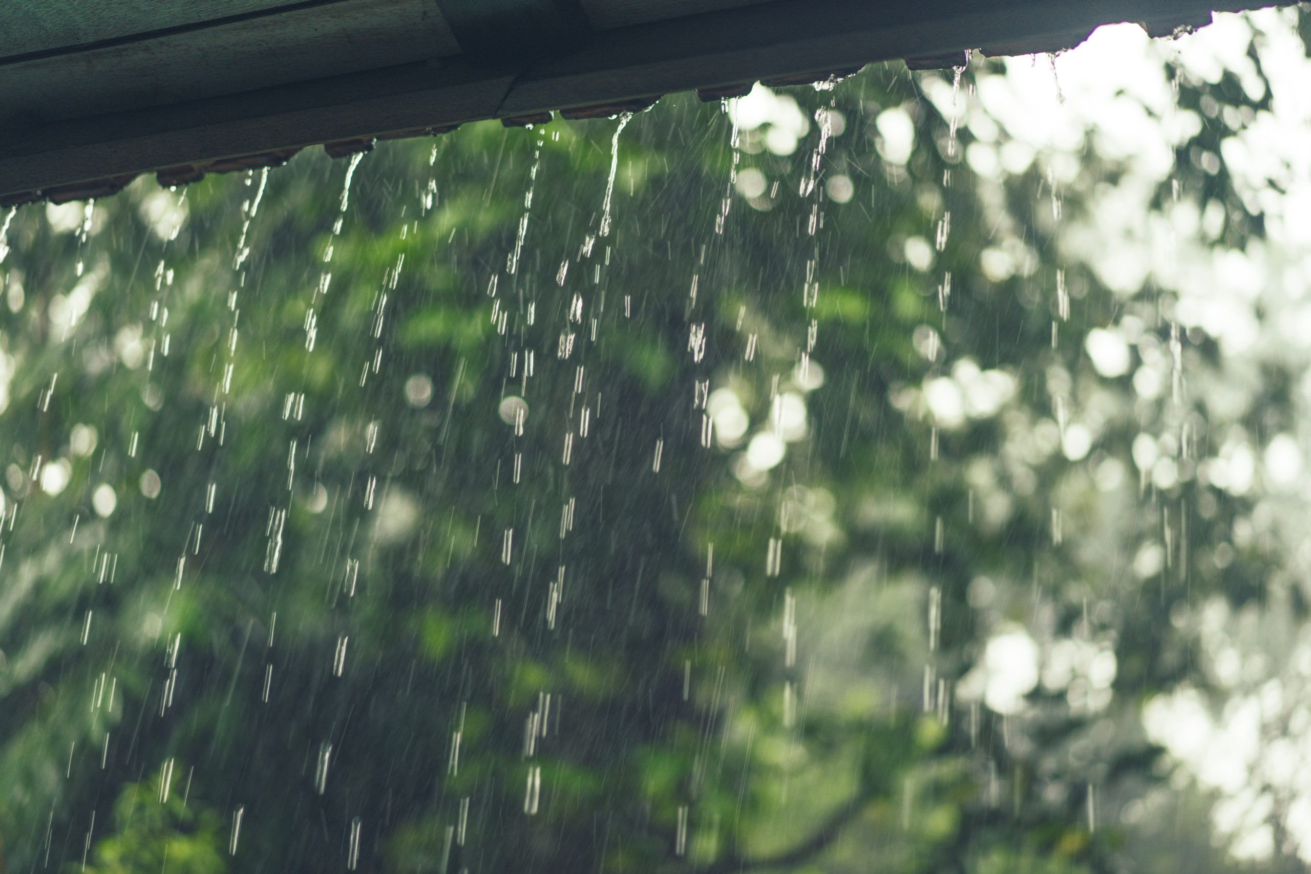 Météo de ce jeudi: Des pluies éparses dans les régions du Nord-Ouest