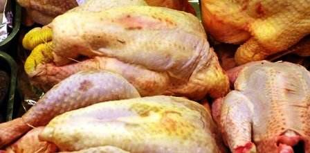 Tunisie : Nabeul : Il voulait écouler sur le marché des poulets et des dindes mortes
