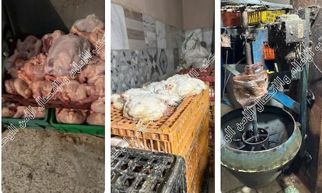 Sidi H’ssine (Tunis) : Saisie de 850 poulets dans un abattoir anarchique
