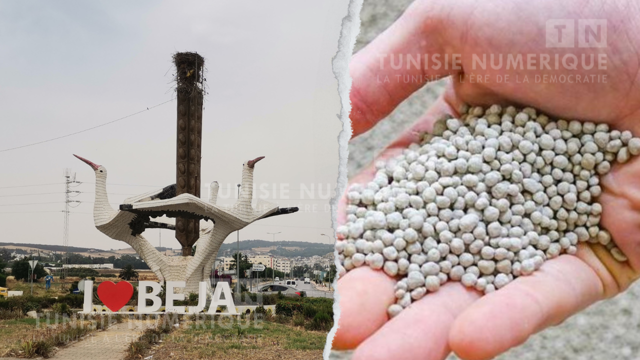 Les autorités régionales de Béja rassurent les agriculteurs: L’ammonitrate est disponible