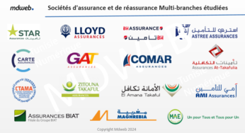 MDWEB : Classement des sociétés d’assurance sur le web et les médias sociaux (Janvier 2024)