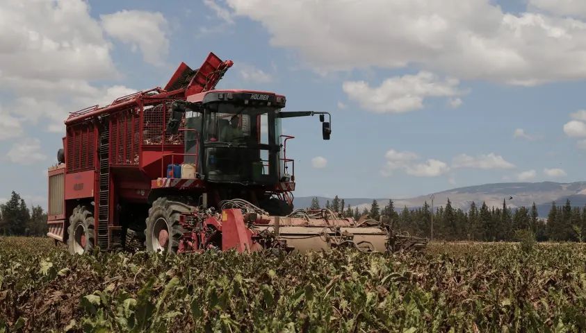 Tunisie – L’Usine de sucre de Jendouba : Un plan de sauvetage pour assurer la pérennité et l’emploi