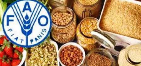 2023 : Diminution des prix des produits alimentaires sur les marchés mondiaux