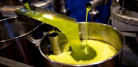 Tunisie – La production d’huile d’olive estimée à 210 mille tonnes