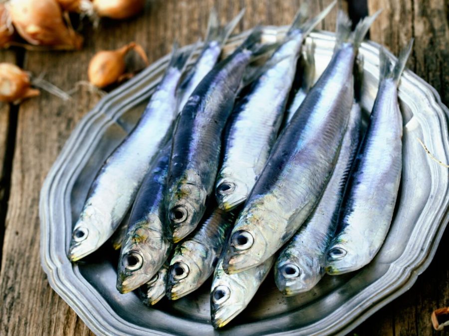 Santé : Quels sont les bienfaits de la sardine ?