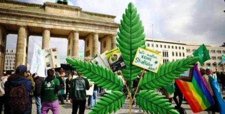 L’Allemagne légalise la culture et la consommation du cannabis