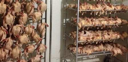 Tunisie – Sousse : Huit tonnes de volailles saisies dans un abattoir clandestin