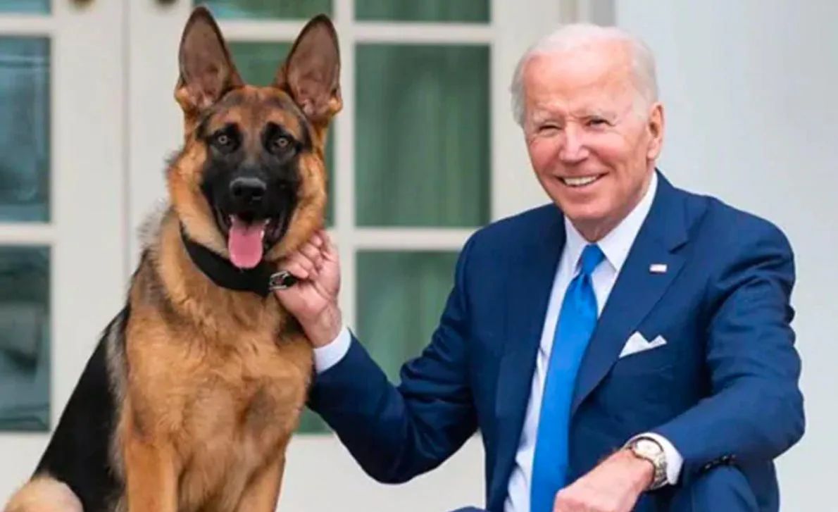 USA – Chien de Joe Biden : Commander mord au moins 24 fois le personnel de la Maison-Blanche