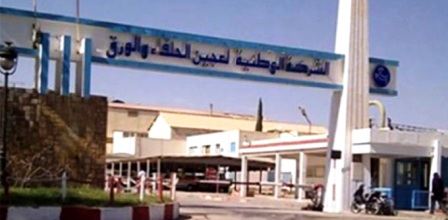Tunisie – Kasserine : Un cadre de l’usine de cellulose épinglé pour présentation de faux diplôme