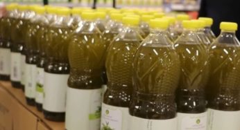 Nabeul: L’huile d’olive bientôt disponible à 12,5 dinars dans les grandes surfaces (Déclaration)