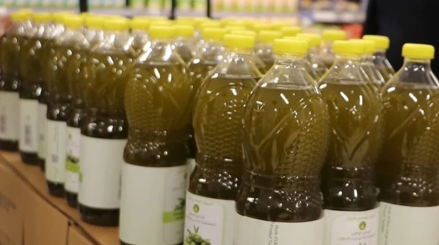 Vers la distribution de 2 millions de litres d’huile d’olive en mois de Ramadan