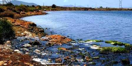Tunisie – Examen du projet d’assainissement et dépollution du Lac de Bizerte