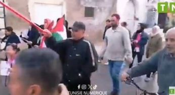 Qui est en train de mobiliser pour faire pression sur Al Sissi et réaliser le projet sioniste à Gaza ?