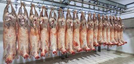 Tunisie – La viande d’agneau proposée à 32 DT le kilo durant Ramadan