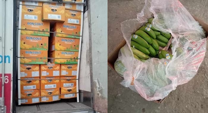 Arrivée d’une première cargaison de bananes importées