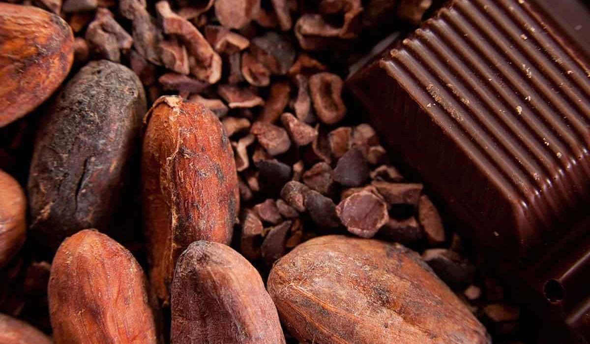 Une crise imminente dans l’approvisionnement mondial en chocolat