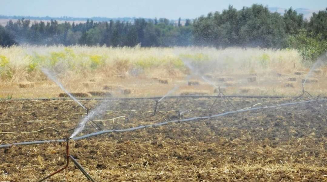 Evaluation de l’empreinte hydrique des approches agricoles et commerciales en Tunisie