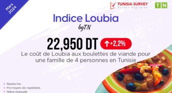 Indice Loubia – Mars 2024 : Combien Coûte un plat de Loubia aux boulettes de viande pour 4 personnes en Tunisie ?