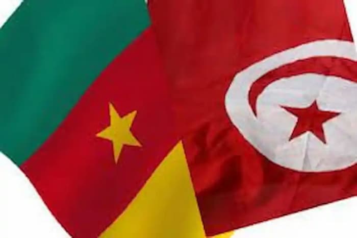Un forum tuniso-camerounais se tiendra les 23 et 24 avril à Yaoundé