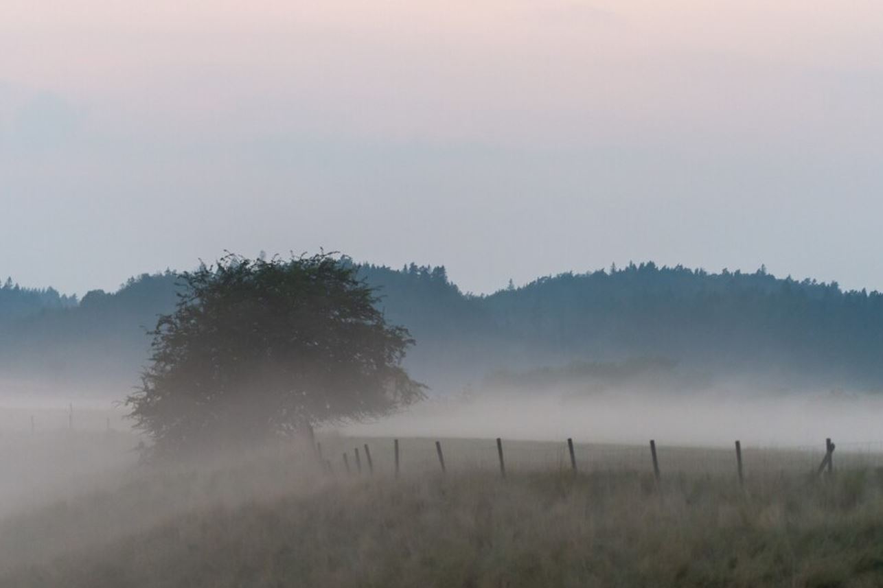 Météo de ce vendredi: Brouillard matinal et temps nuageux